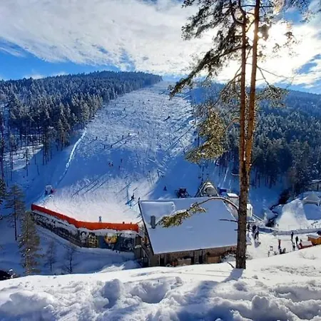 Apartman Forest Rest *